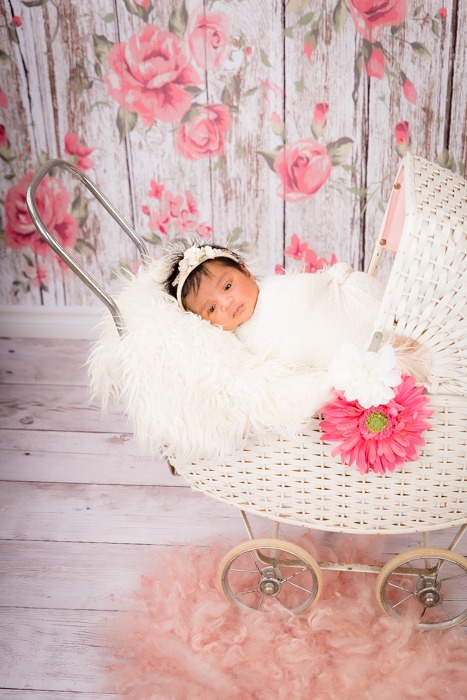 baby in pram photograph