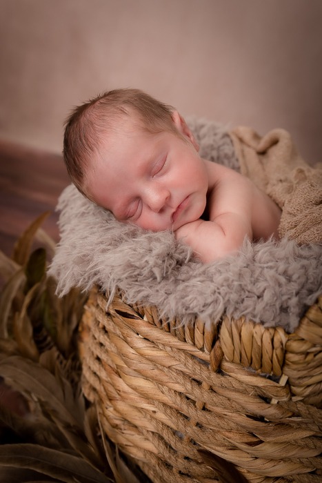 Baby in basket