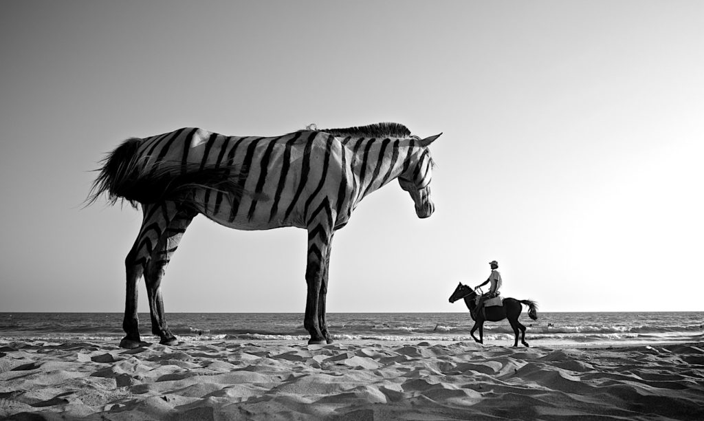 50 Types of Photography 17
