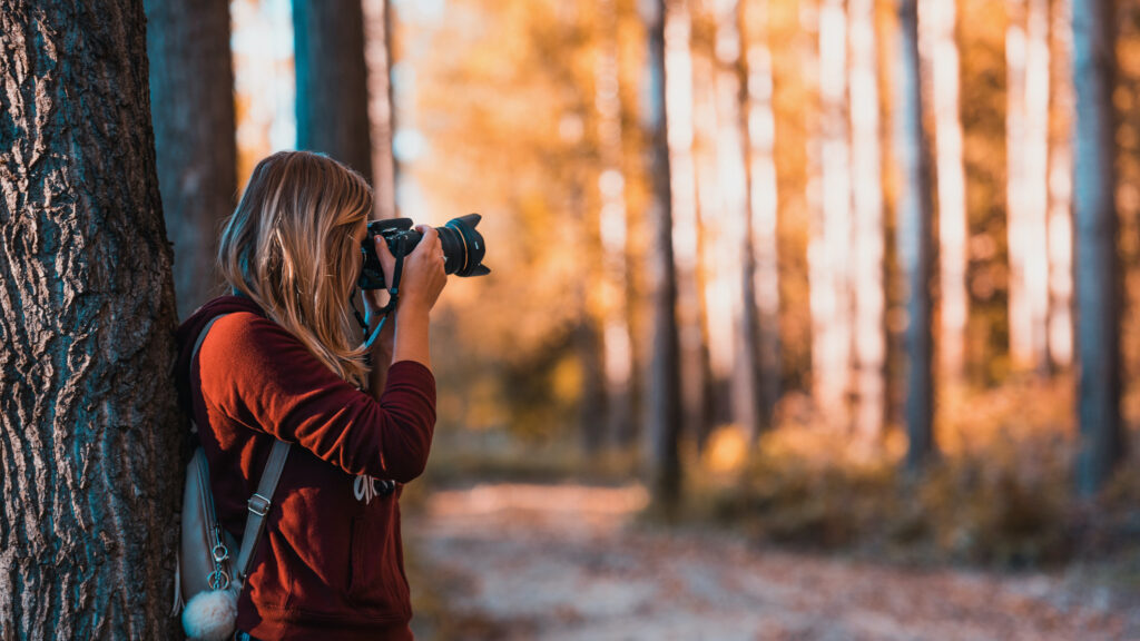 What's The Best Season To Take Photos? 3