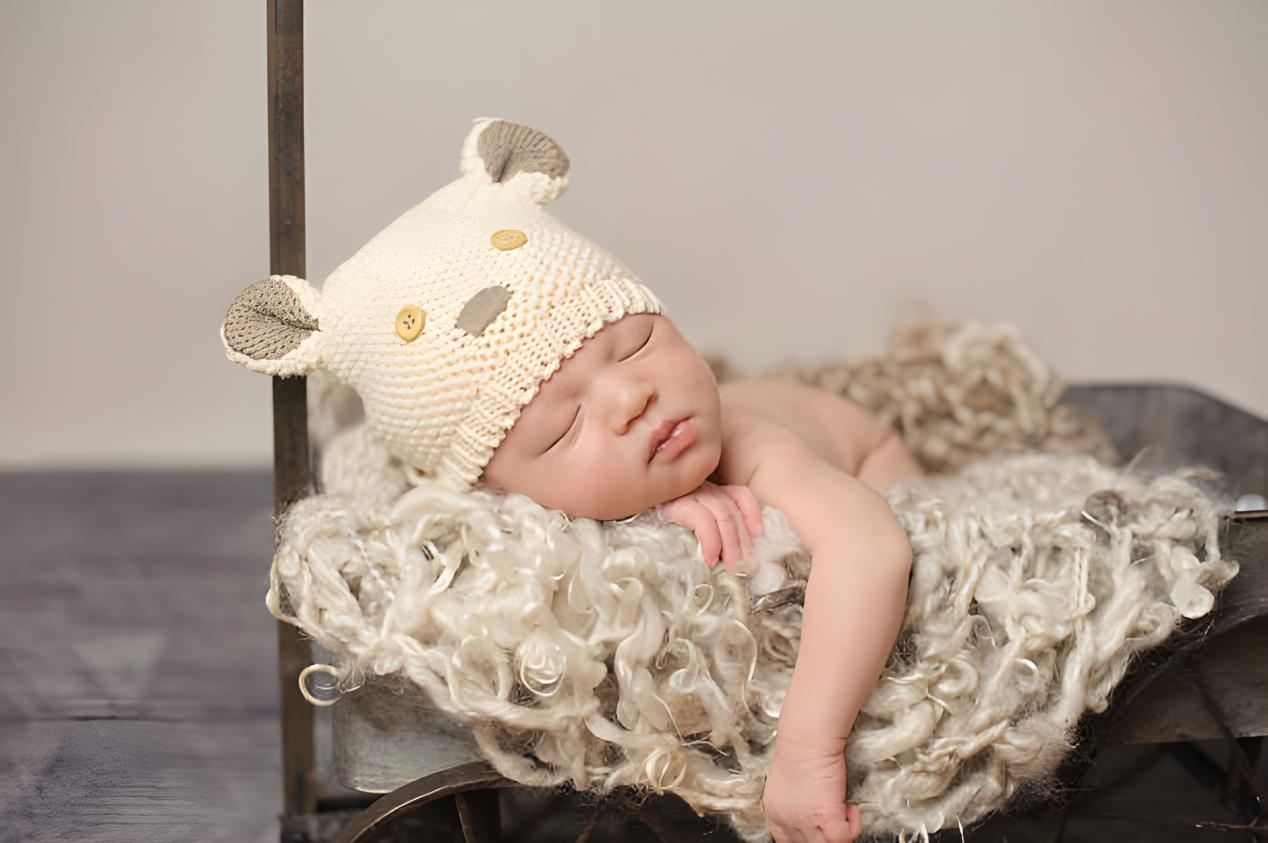Sydney Newborn Photography Props & Outfits img